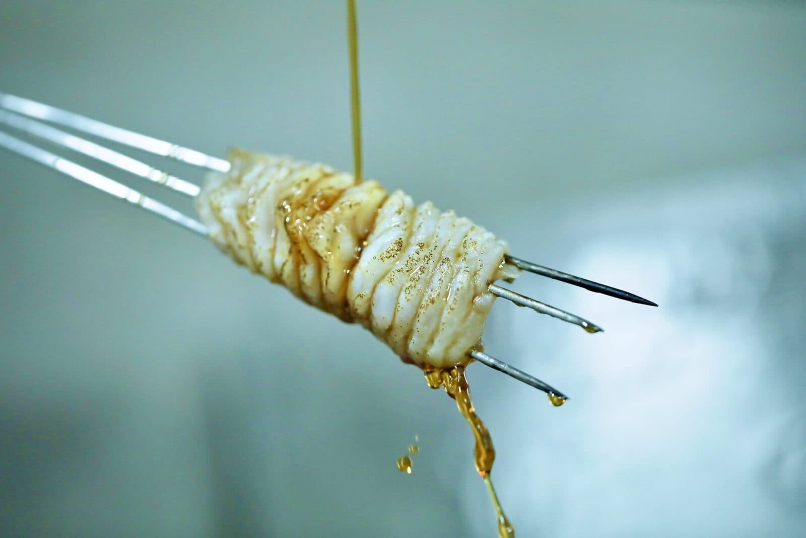 타쿠미곤 계절 코스