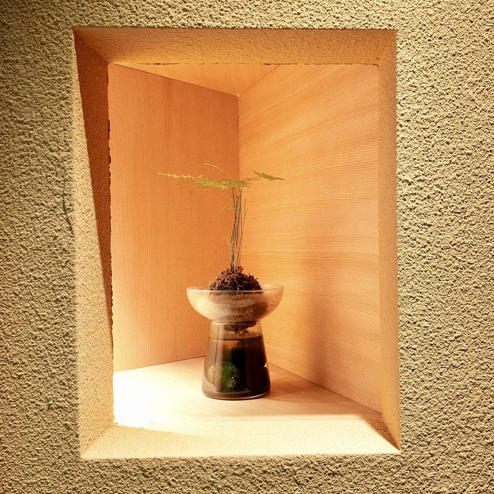 타쿠미곤 제철 사시미 코스