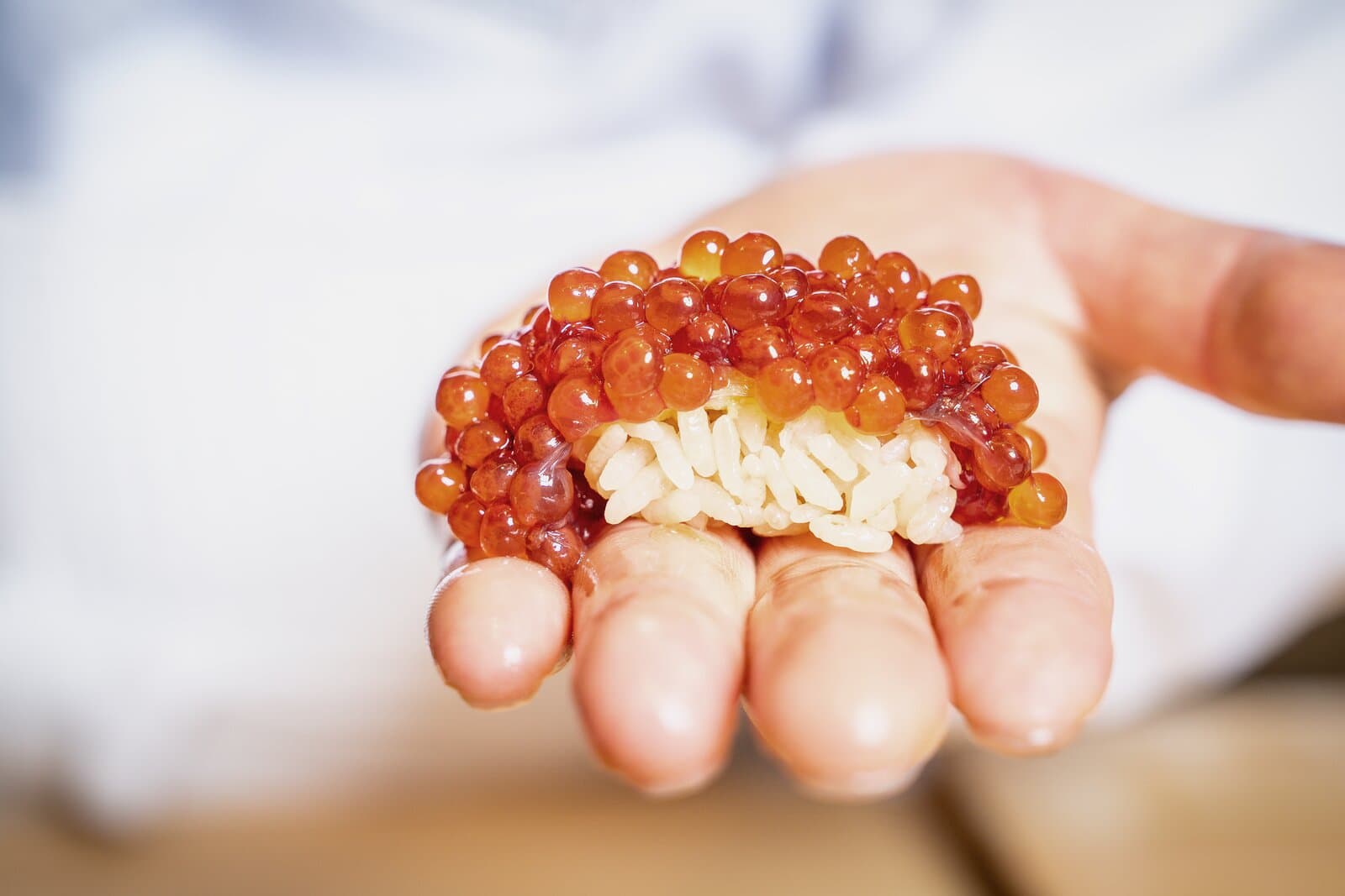 TAKUMIGON Lunch Omakase nigiri