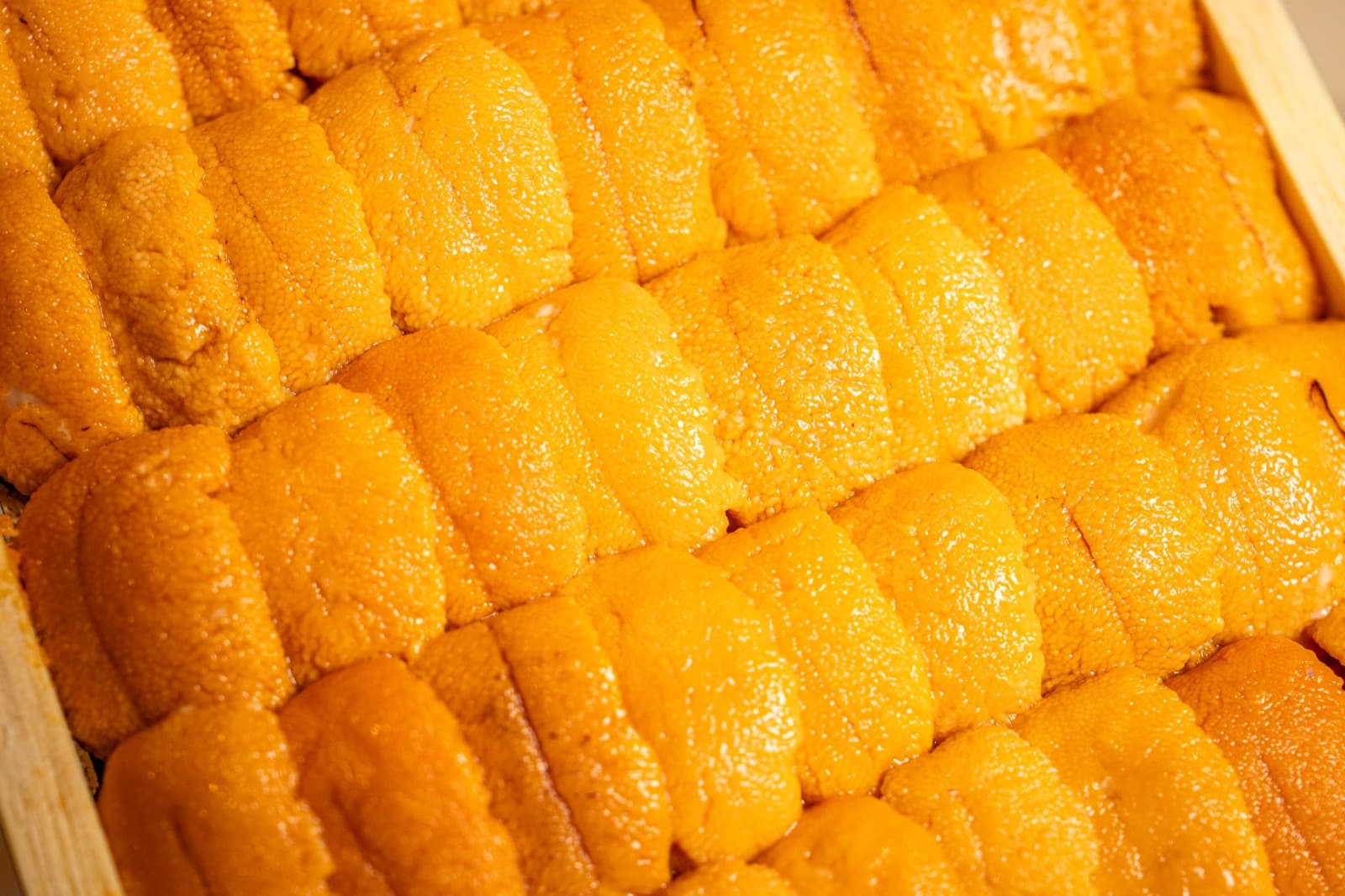 TAKUMIGON aged sushi close-up